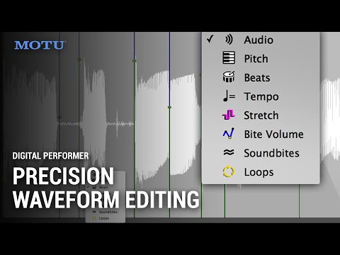 DP 10 Waveform Editor