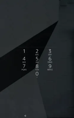 PIN
