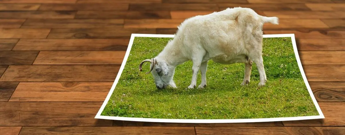右クリックでまとめて画像をリサイズできる『Image Resizer for Windows』