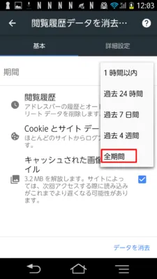 全期間