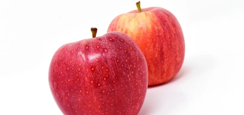 【macOS】メモにプレーンテキストを貼り付ける時のショートカット【備忘録】