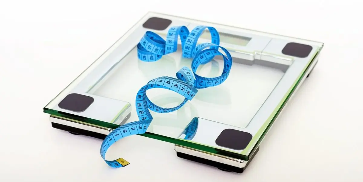 【ダイエット】脂質制限・減量期間中に最適な外食メニュー一覧