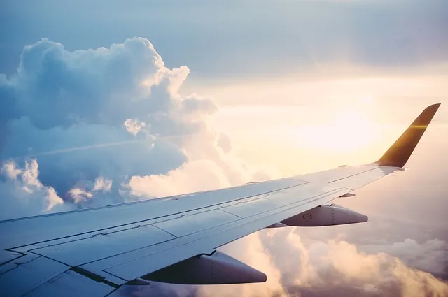 【旅行・出張】飛行機の機内に持ち込んで便利だったもの、使わなかったもの一覧