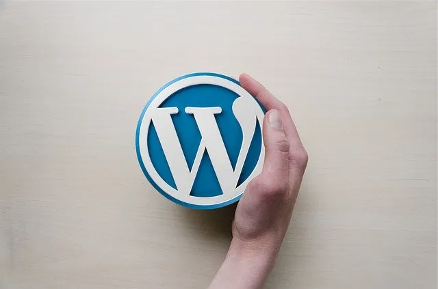 【WordPress】管理画面にアクセスできないエラー対処方法